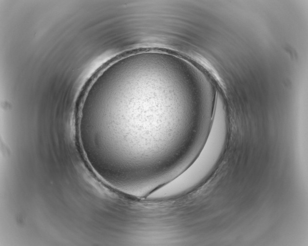 X0000090961076200708091350