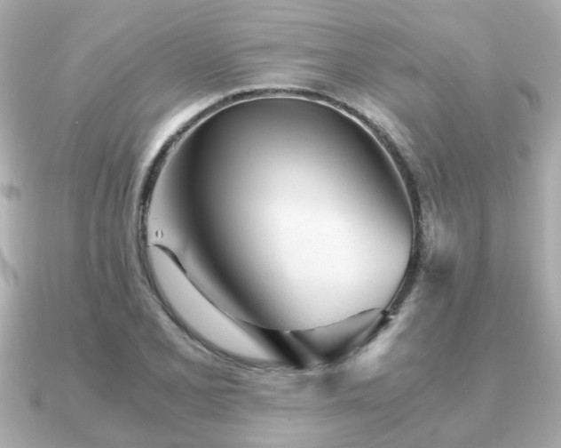 X0000090961077200708091350