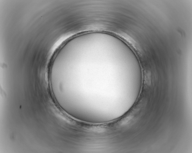 X0000090961078200708091350