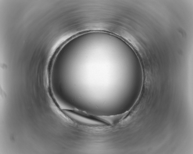 X0000090961080200708091350
