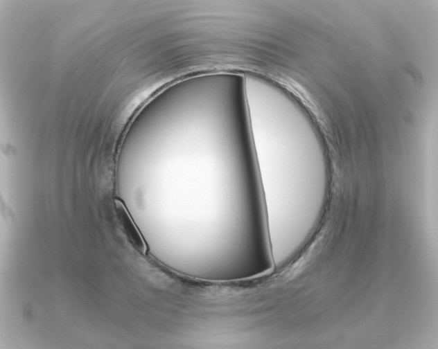 X0000090961081200708091350