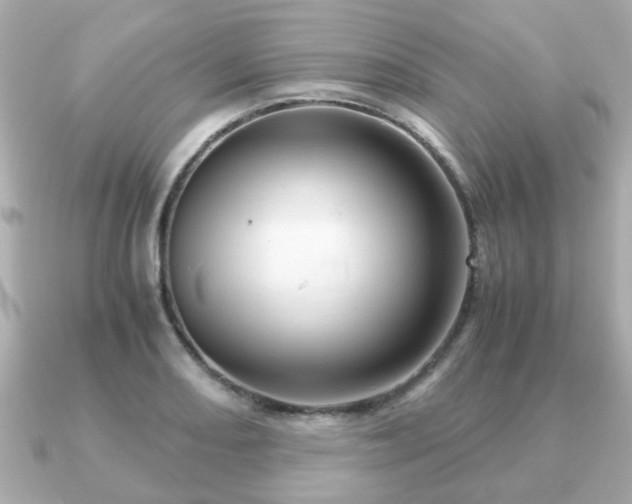 X0000090961082200708091350