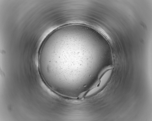 X0000090961084200708091350