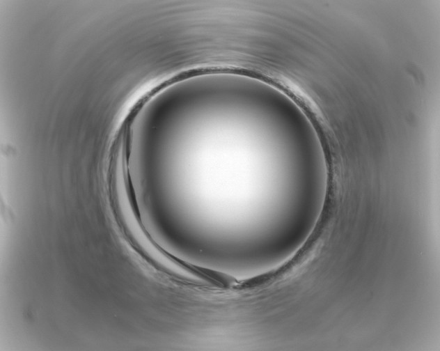 X0000090961085200708091350