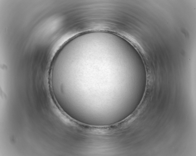 X0000090961086200708091350
