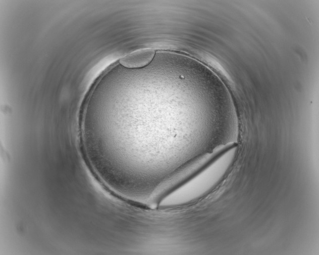 X0000090961087200708091350