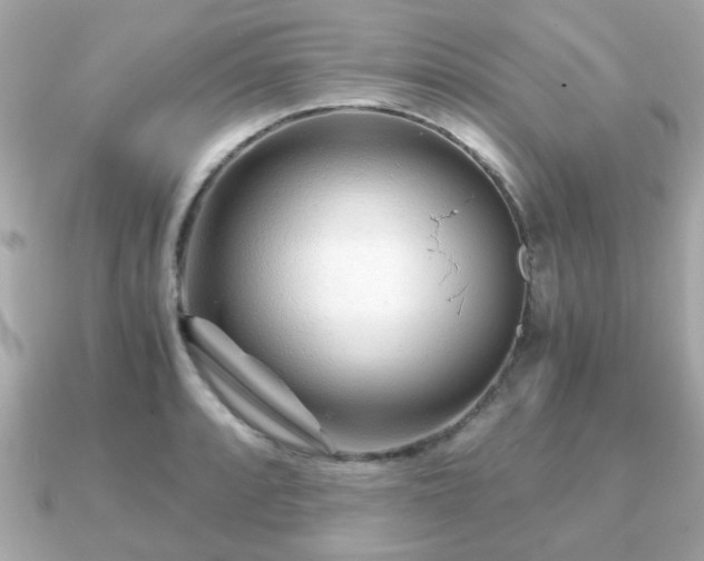 X0000090961088200708091350
