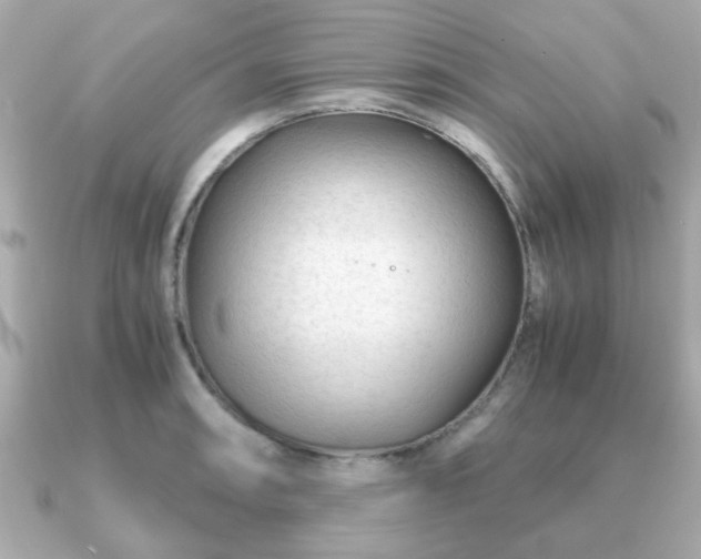 X0000090961090200708091350