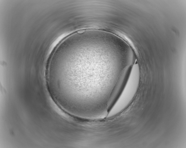 X0000090961091200708091350