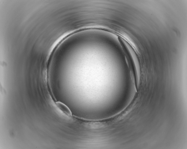 X0000090961092200708091350