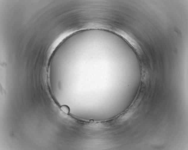 X0000090961094200708091350