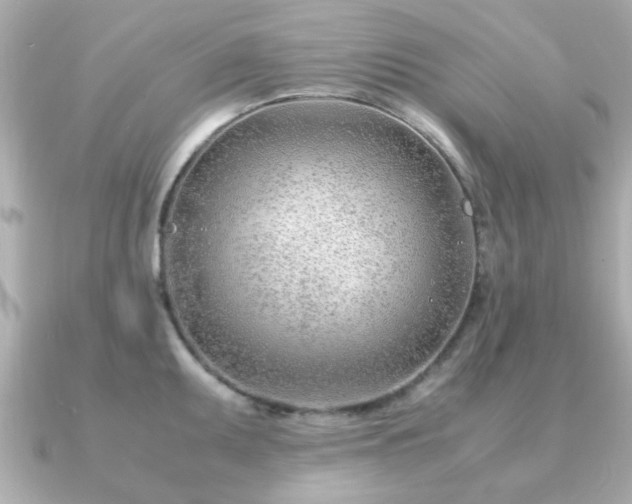 X0000090961095200708091350