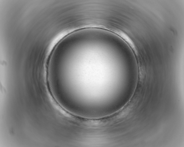 X0000090961096200708091350