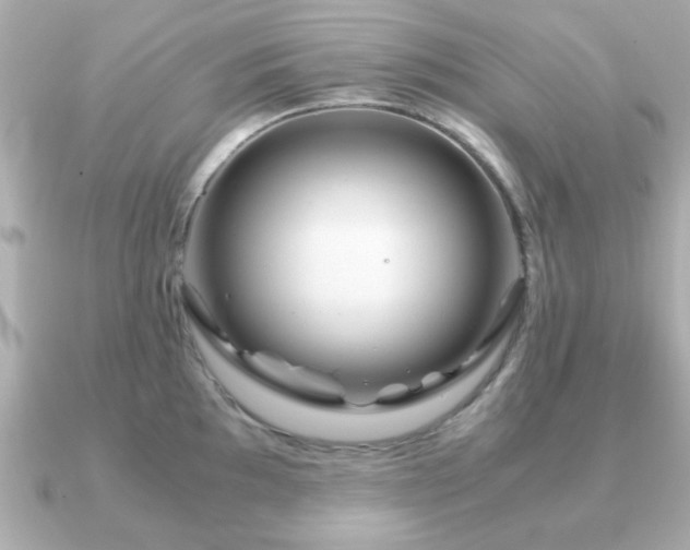 X0000090961097200708091350
