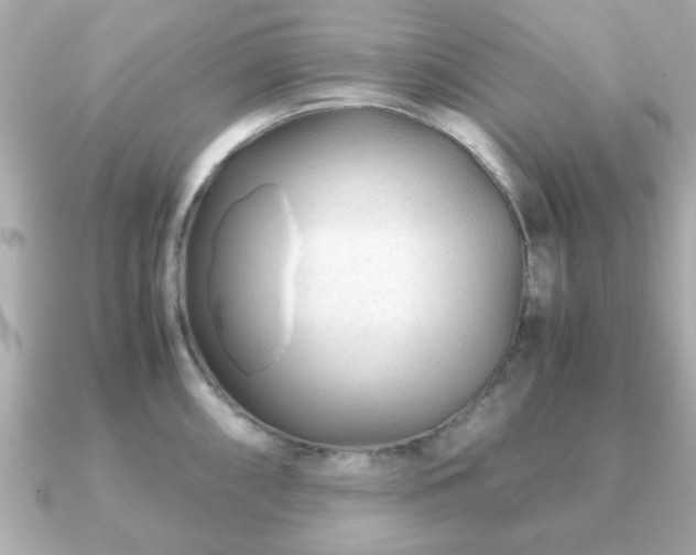 X0000090961098200708091350