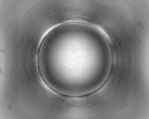 X0000090961100200708091350
