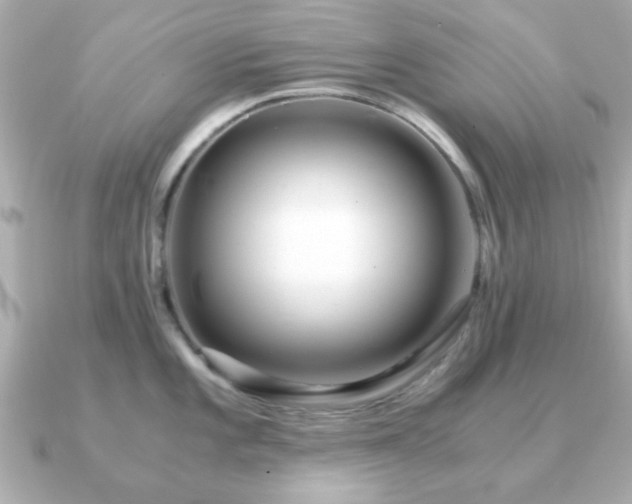 X0000090961101200708091350