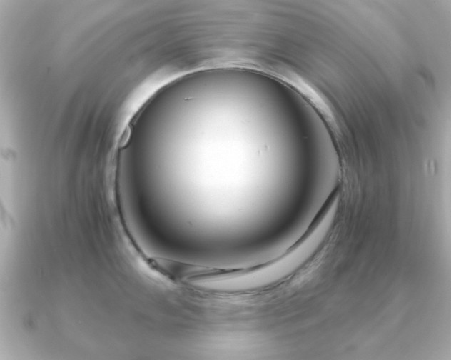 X0000090961102200708091350