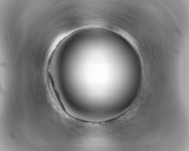 X0000090961104200708091350