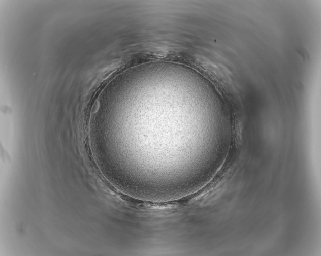 X0000090961105200708091349