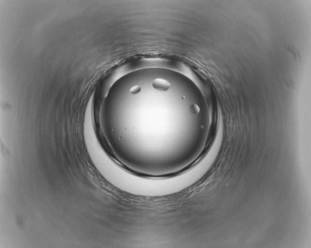 X0000090961106200708091349