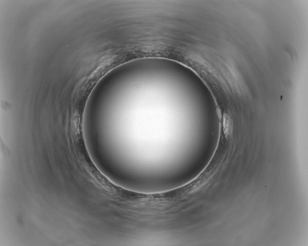 X0000090961107200708091349