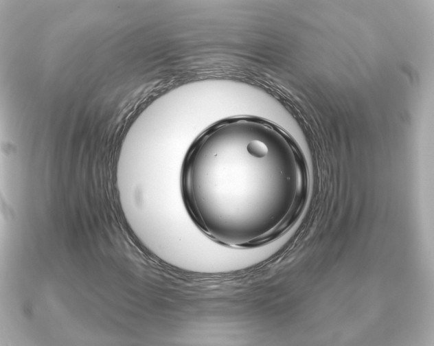 X0000090961108200708091349