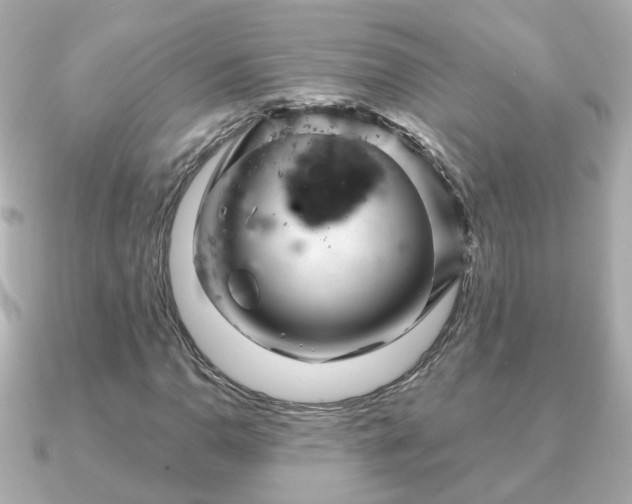 X0000090961110200708091349