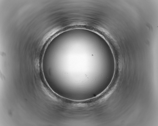 X0000090961113200708091349