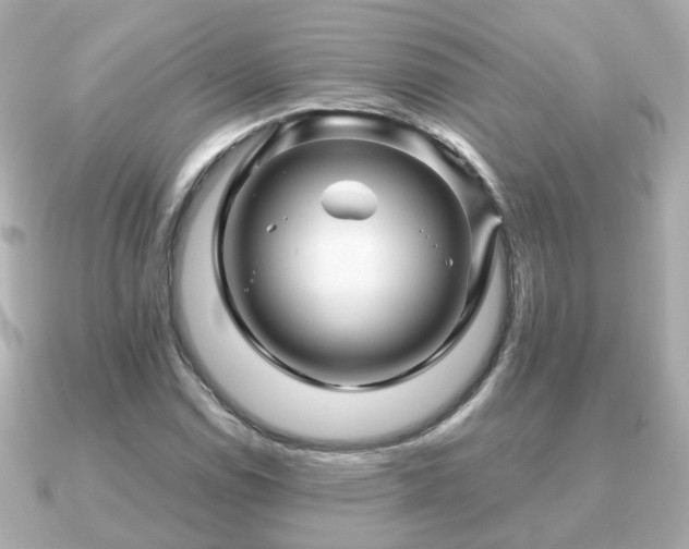 X0000090961114200708091349