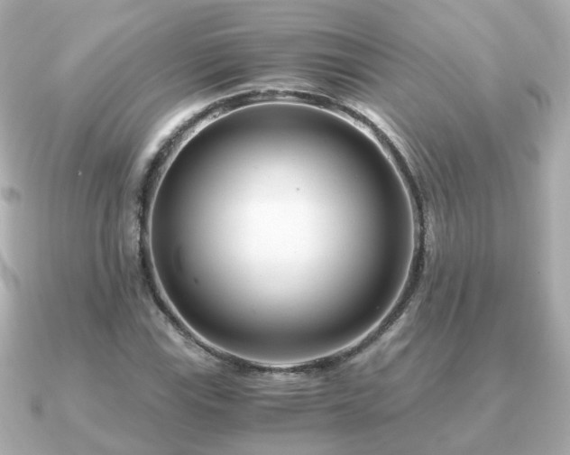 X0000090961115200708091349