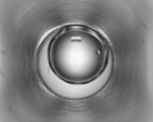 X0000090961116200708091349