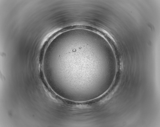 X0000090961117200708091349