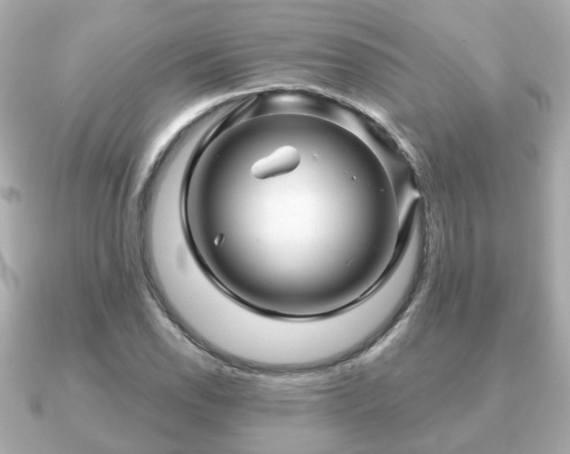 X0000090961118200708091350