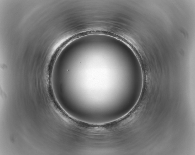 X0000090961119200708091350