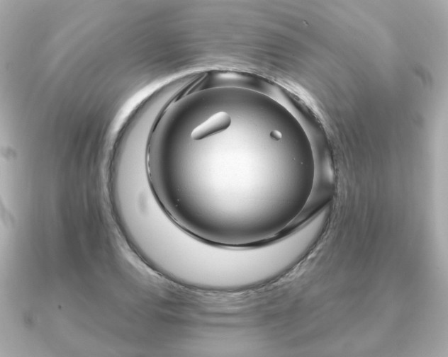 X0000090961120200708091350