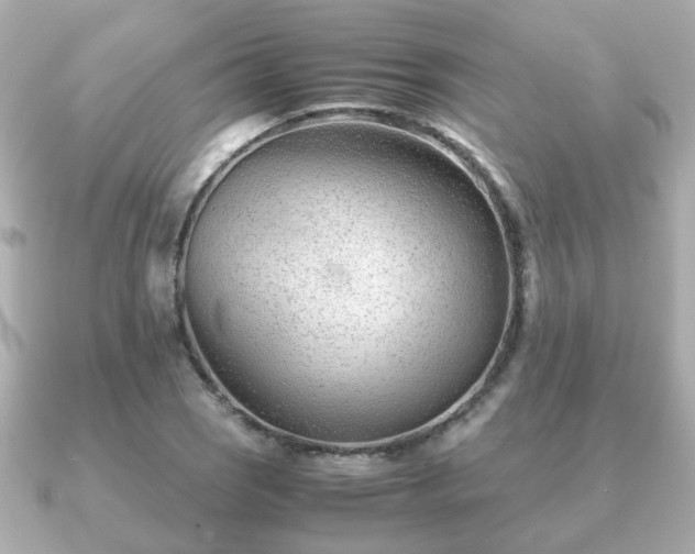 X0000090961121200708091350