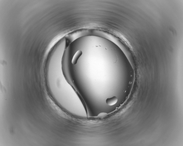 X0000090961122200708091350