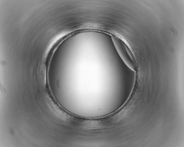 X0000090961123200708091350