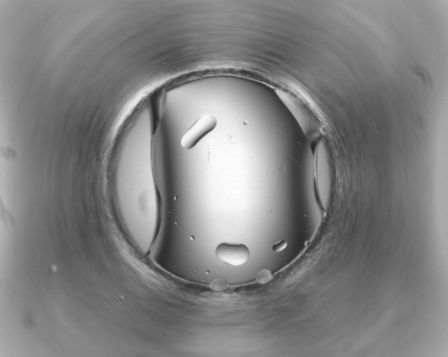 X0000090961124200708091350