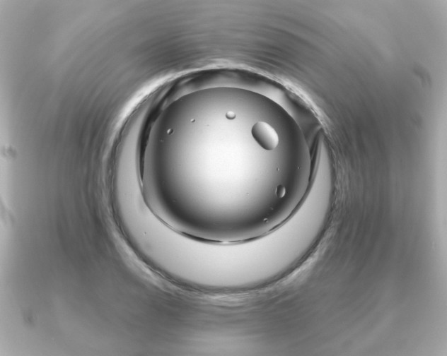 X0000090961126200708091350