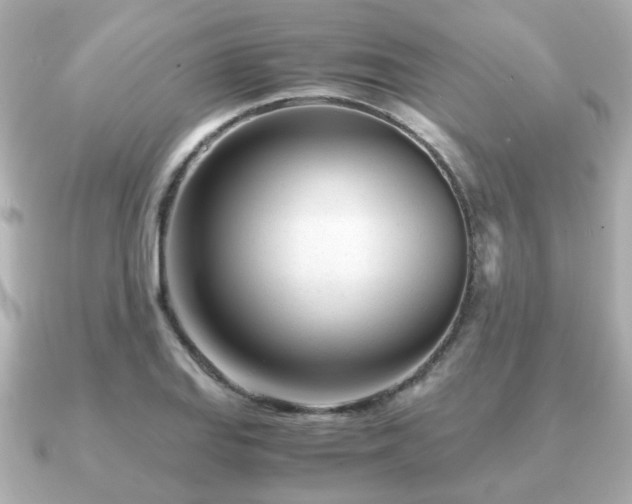 X0000090961127200708091350