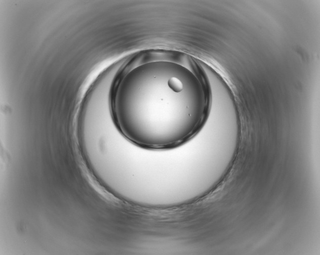 X0000090961128200708091350
