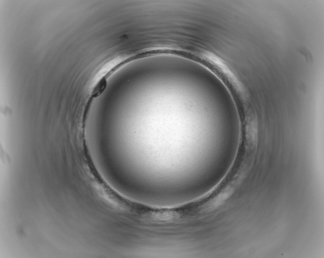 X0000090961129200708091350