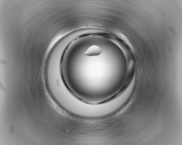 X0000090961130200708091350