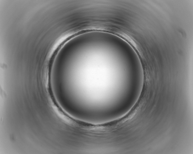 X0000090961131200708091350