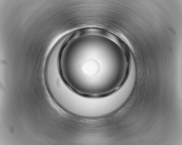 X0000090961132200708091350