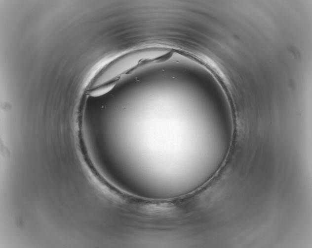 X0000090961133200708091350