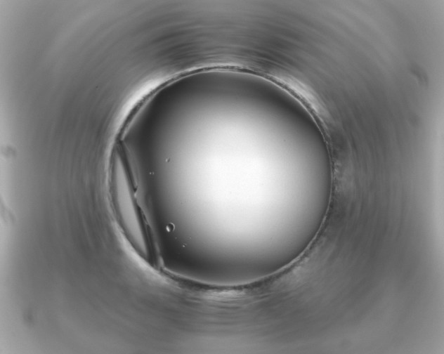 X0000090961135200708091350