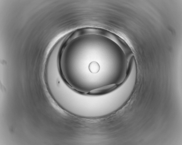 X0000090961136200708091350